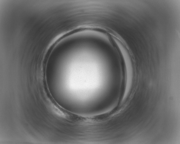 X0000083070787200702021254