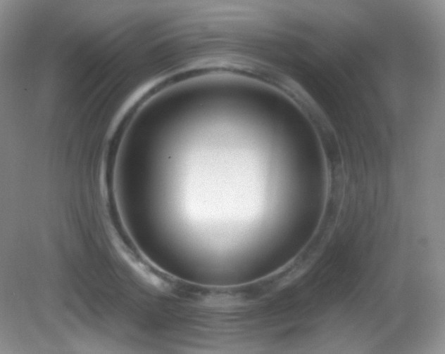 X0000083070788200702021254