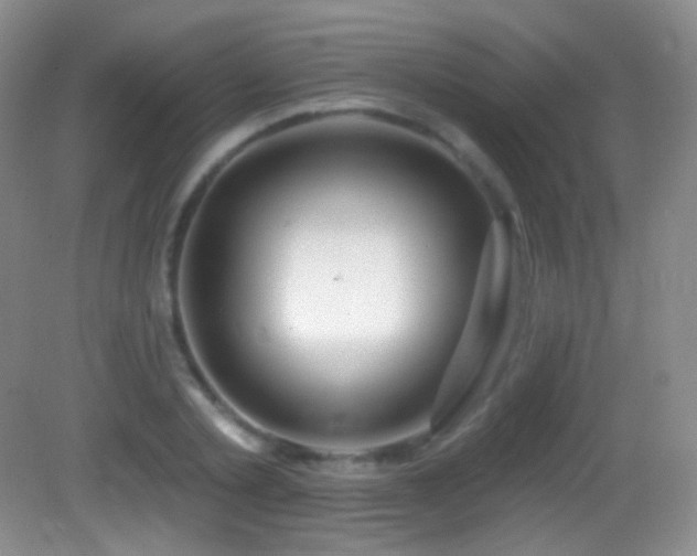 X0000083070789200702021254