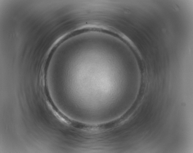 X0000083070791200702021253