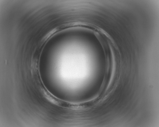 X0000083070793200702021253