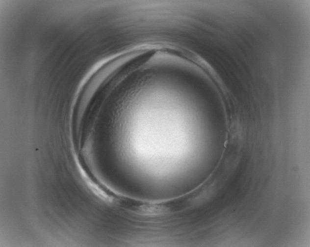 X0000083070795200702021253