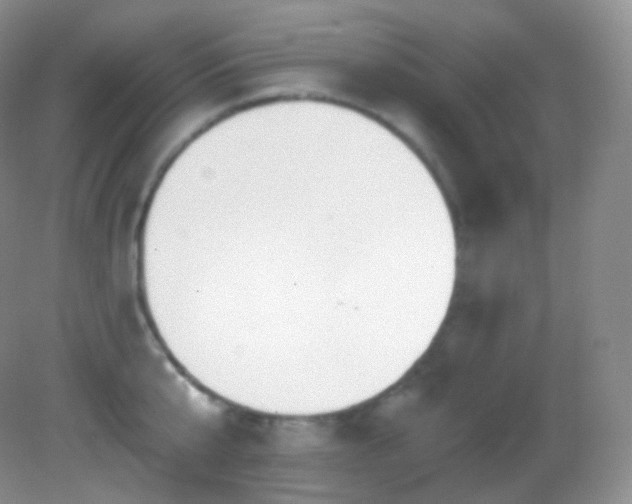 X0000083070807200702021253