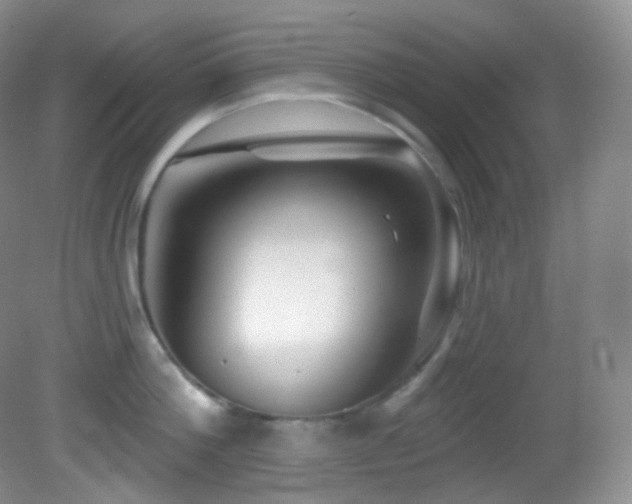 X0000083070812200702021253