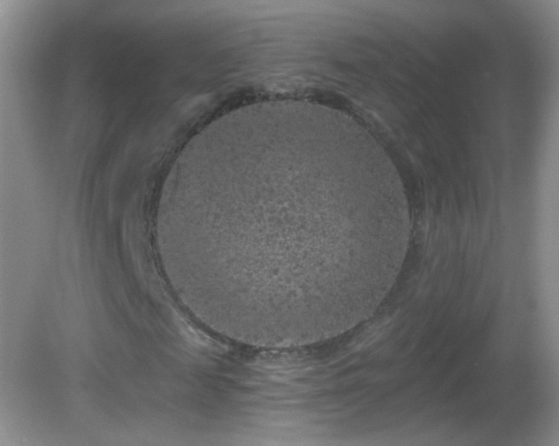 X0000083070817200702021252