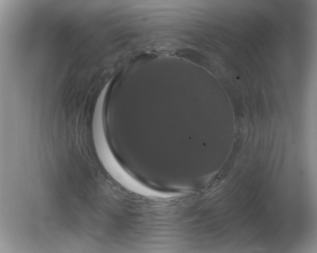 X0000083070818200702021252