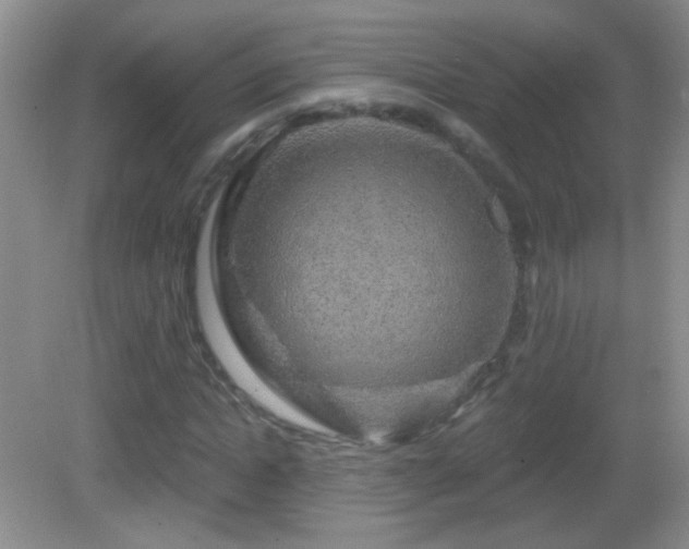 X0000083070822200702021252