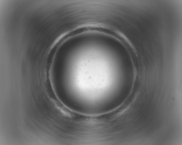 X0000083070829200702021252