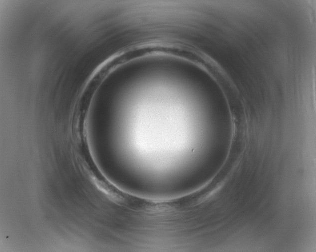 X0000083070830200702021252