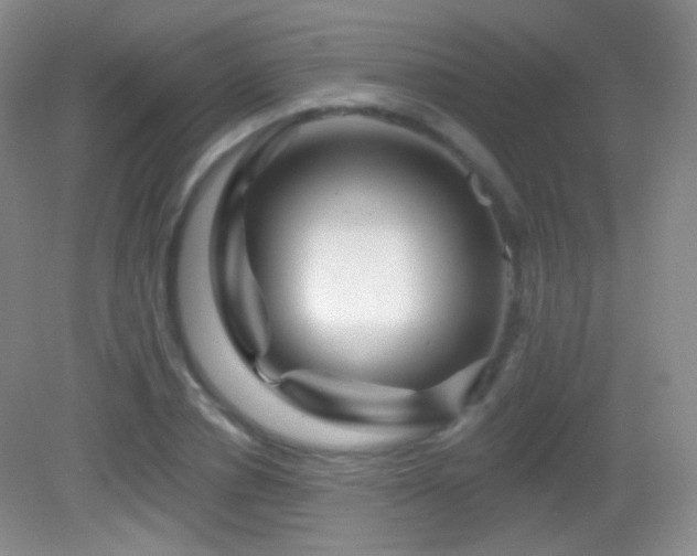 X0000083070834200702021253