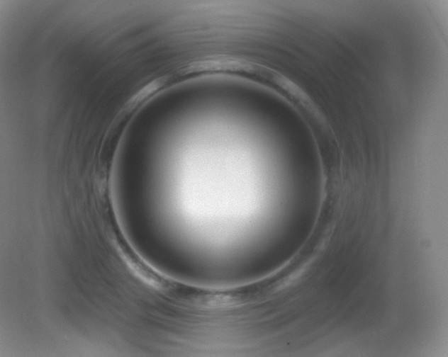 X0000083070841200702021253