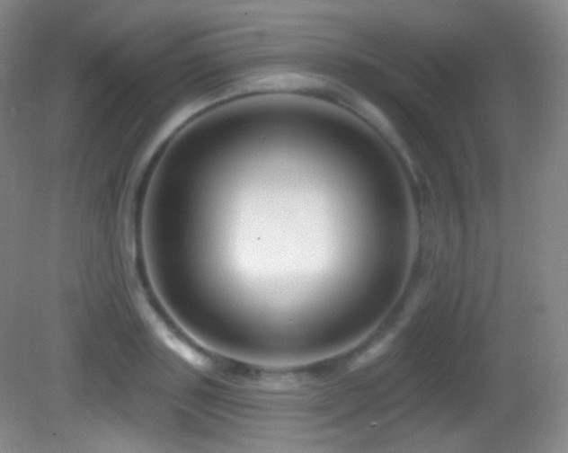 X0000083070843200702021253