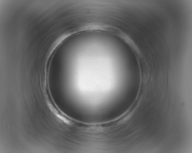 X0000083070844200702021253
