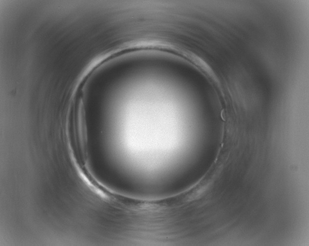 X0000083070847200702021253