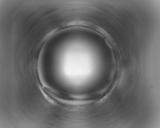 X0000083070849200702021253
