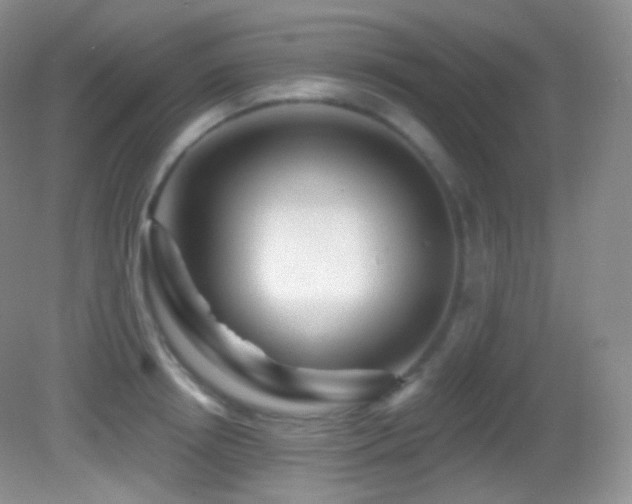 X0000083070850200702021253