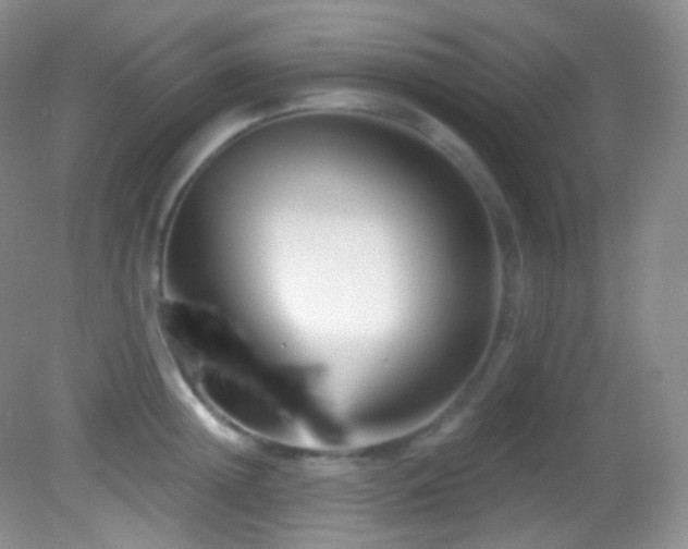 X0000083070852200702021253