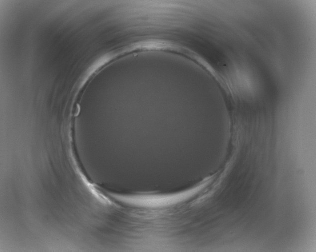 X0000083070853200702021253
