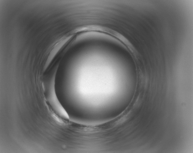 X0000083070857200702021253