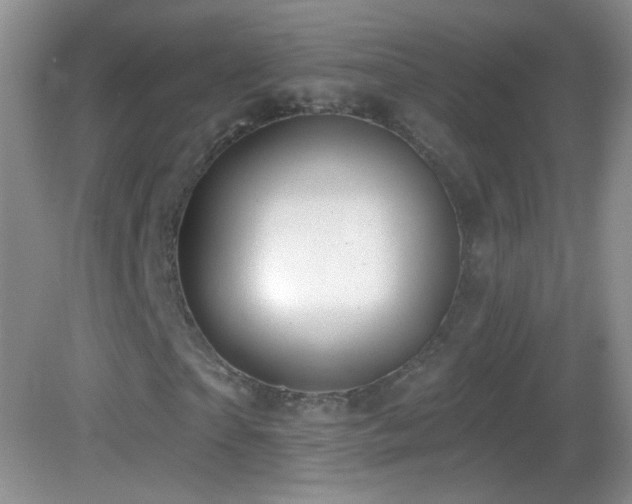 X0000083070865200702021252