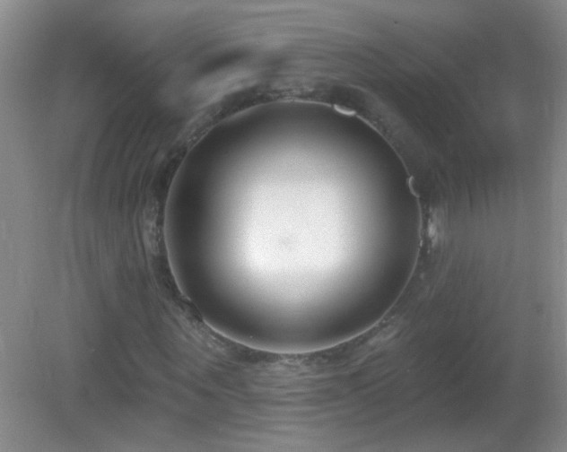 X0000083070867200702021252