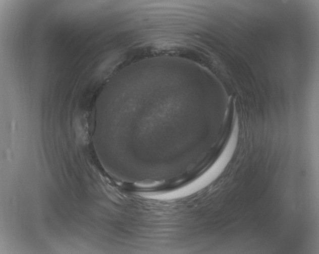 X0000083070868200702021252
