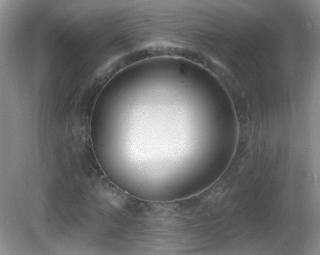X0000083070870200702021252