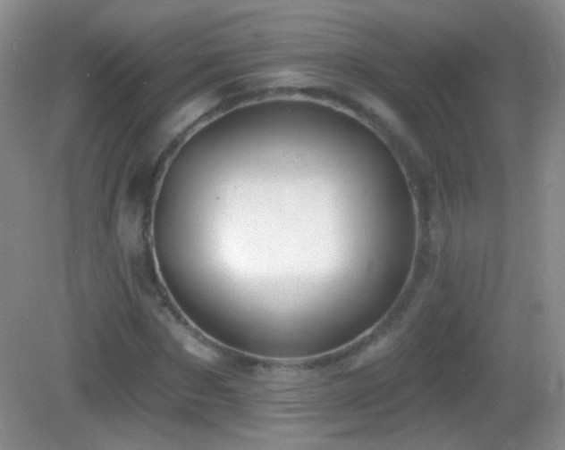 X0000083070873200702021252
