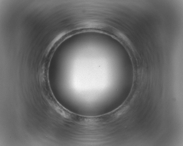 X0000083070875200702021252