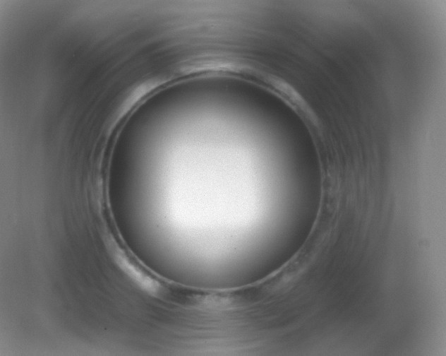 X0000083070890200702021252