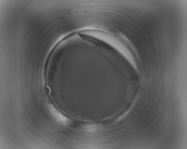 X0000083070892200702021252