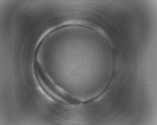 X0000083070896200702021252