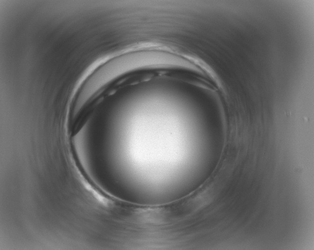 X0000083070902200702021252