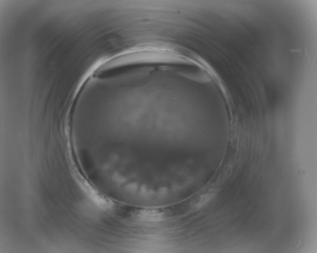 X0000083070907200702021252