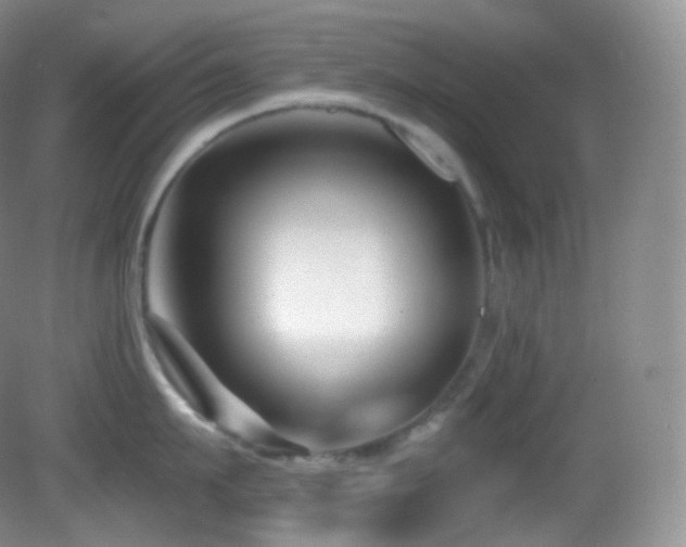 X0000083070911200702021251