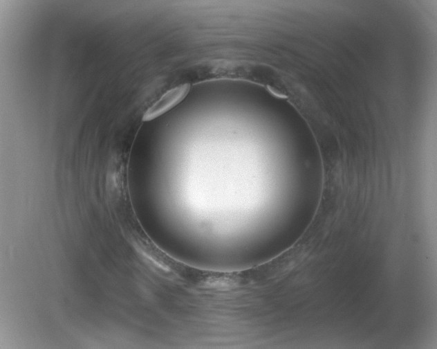 X0000083070914200702021251