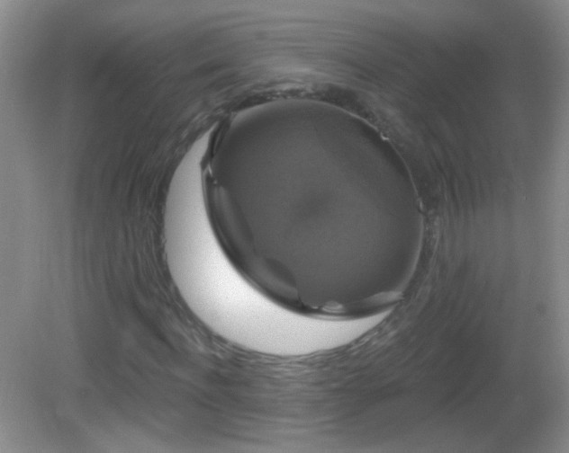 X0000083070916200702021251