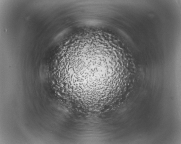 X0000083070918200702021251