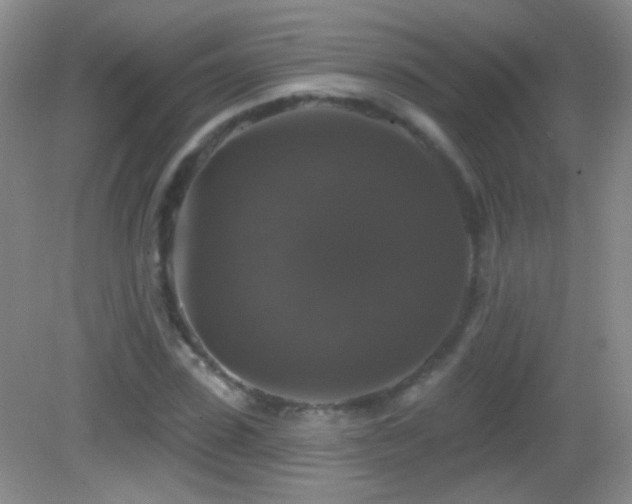 X0000083070923200702021251