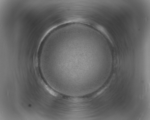 X0000083070924200702021251