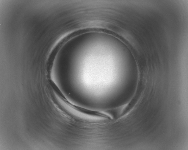 X0000083070926200702021251