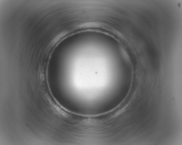 X0000083070929200702021251
