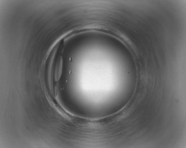 X0000083070933200702021251