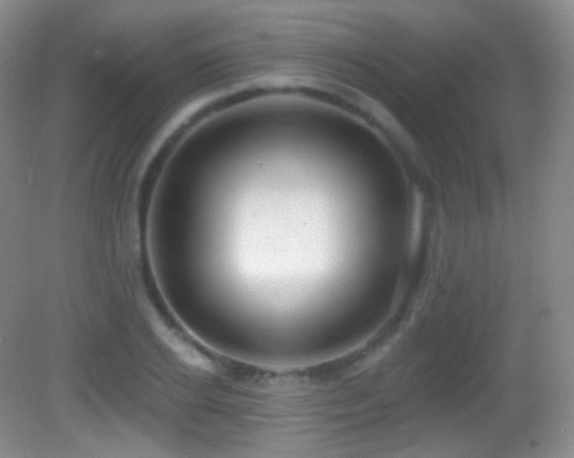 X0000083070934200702021251