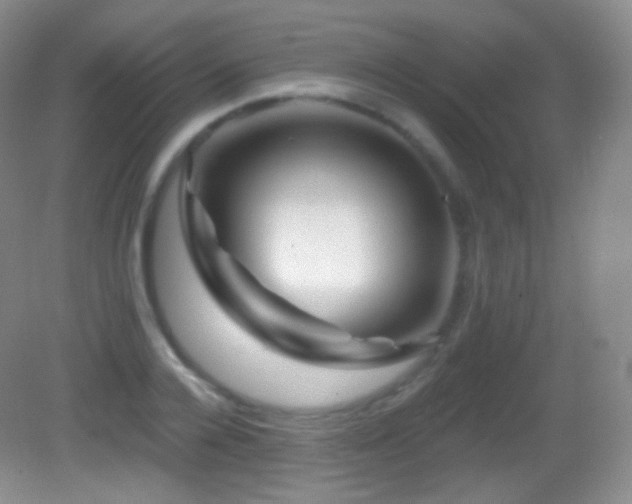 X0000083070936200702021251