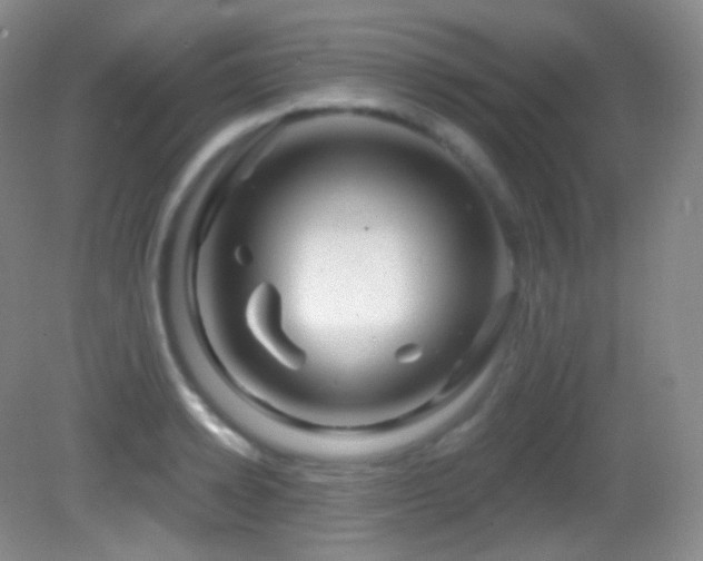 X0000083070942200702021251