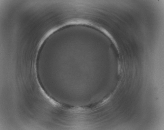 X0000083070943200702021251