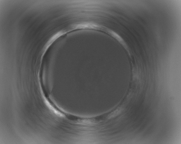 X0000083070946200702021251