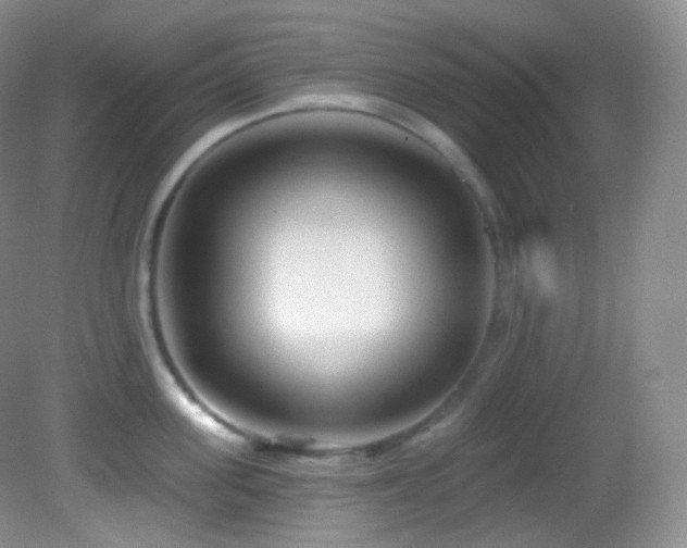 X0000083070955200702021251