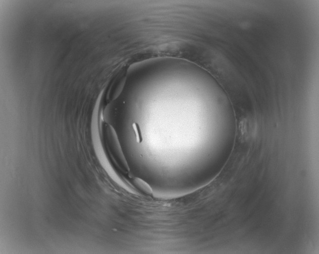 X0000083070963200702021251